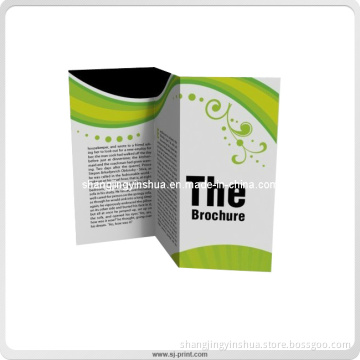 Professional Video Greeting Card Promotion Brochure (PB001)